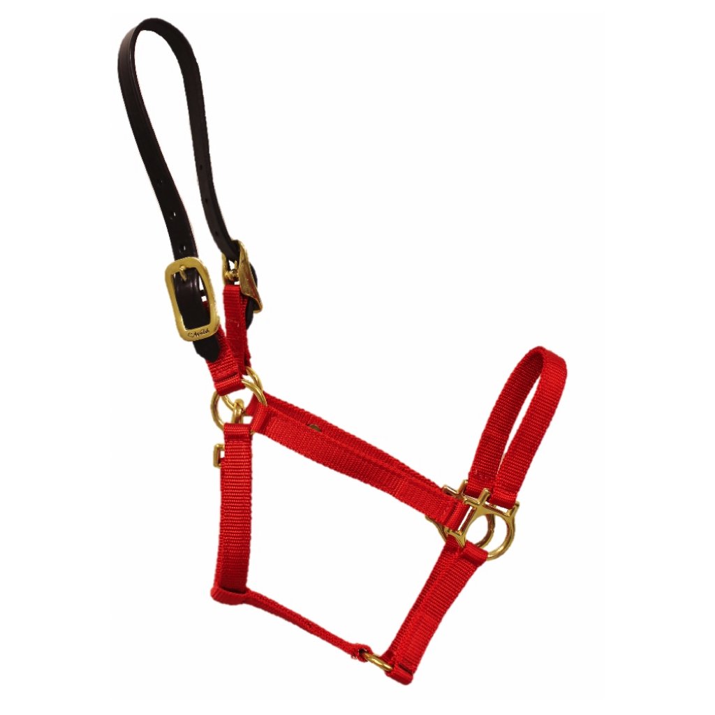 Walsh Nylon Pony Breakaway Halter Red