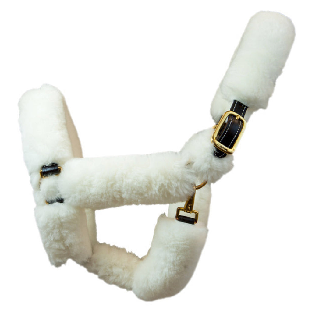 Walsh Sheepskin Shipping Halter White on Havana Leather