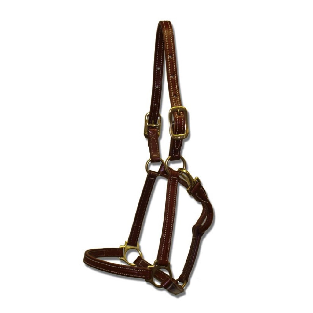 Walsh Showman Leather Halter Chestnut