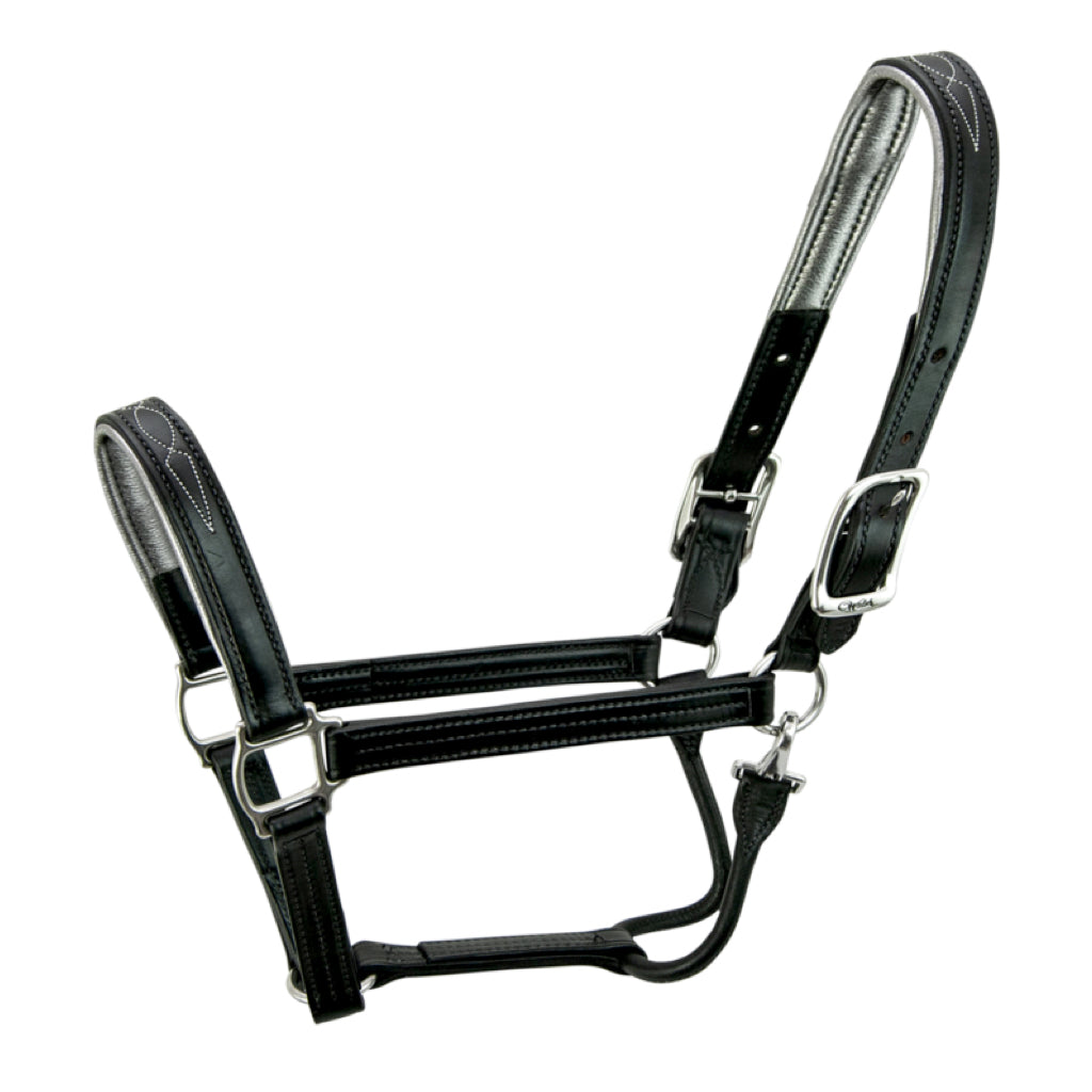 Walsh Signature Leather Halter Black with Gunmetal Padding and Stainless Steel Hardware