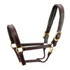 Walsh Signature Leather Halter Havana with Brown Padding and Brass Hardware