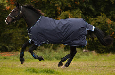 Amigo Bravo 12 Original Medium Turnout Blanket (250g)